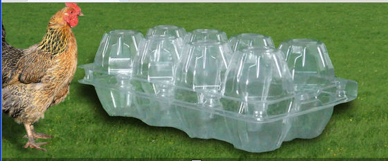 Plateaux transparents d'oeufs d'ANIMAL FAMILIER imperméable, emballage de carton d'oeufs de 15 cavités