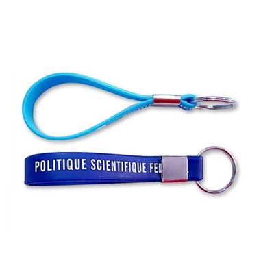 Pendants 100% de silicone Keychain promotionnel, accessoires en métal, couleur de Pantone