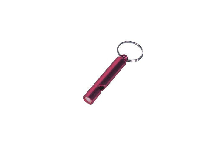 le fil d'acier, le sifflement en aluminium a adapté le porte-clés de couleur/Keychains promotionnel 30572